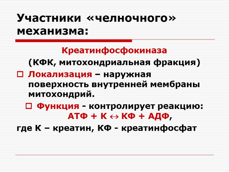 Участники «челночного» механизма: Креатинфосфокиназа  (КФК, митохондриальная фракция) Локализация – наружная поверхность внутренней мембраны